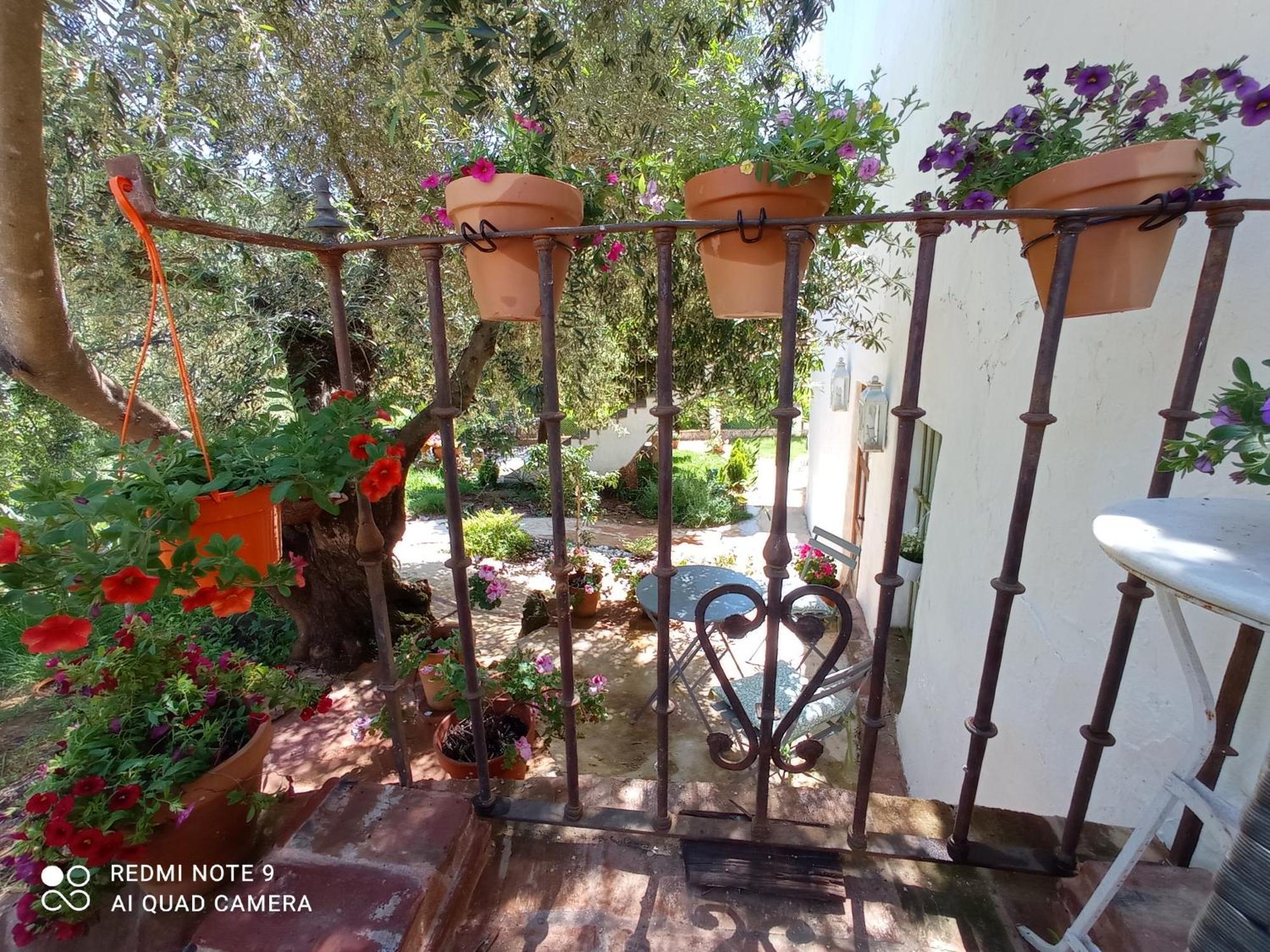 كونستانتينا Finca La Favorita- Suites (Adults Only) المظهر الخارجي الصورة