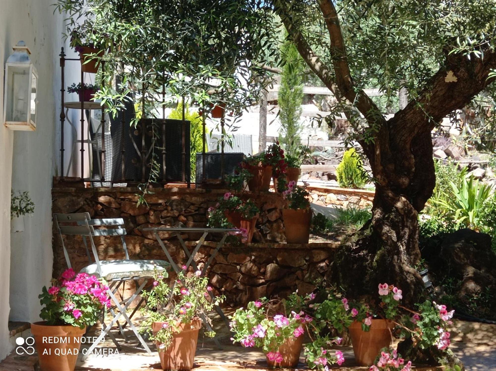 كونستانتينا Finca La Favorita- Suites (Adults Only) المظهر الخارجي الصورة