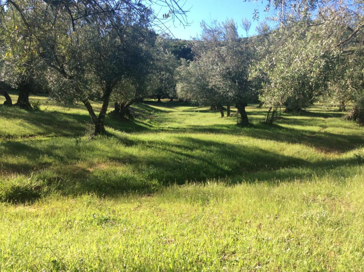 كونستانتينا Finca La Favorita- Suites (Adults Only) المظهر الخارجي الصورة